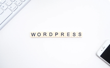 WordPress website hosting and development